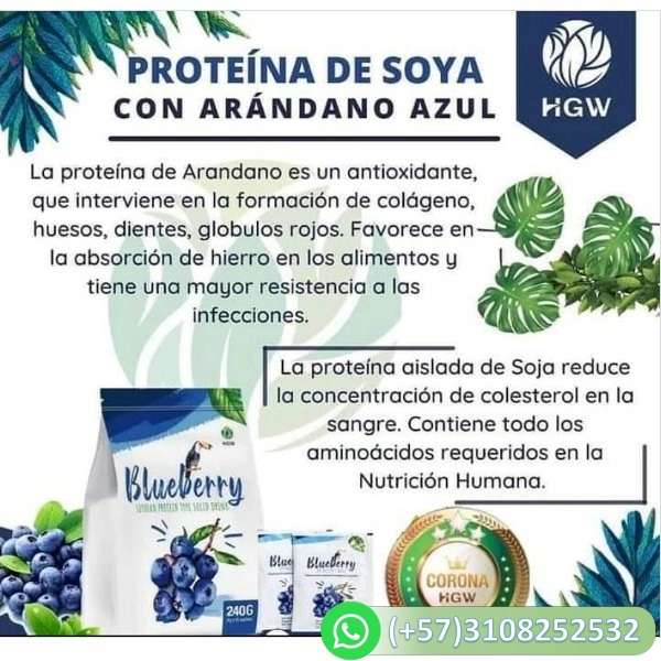 blueberry soy protein powder proteína de soya con arándano blueberry soy protein powder proteína de soya con arándano
